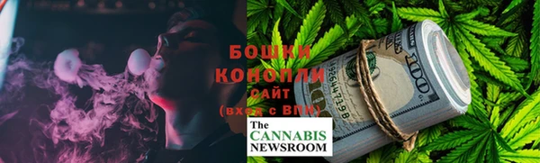 МДПВ Бронницы
