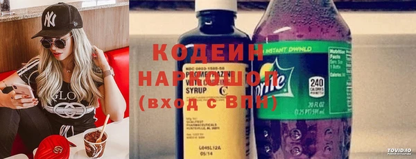 шишки Болотное