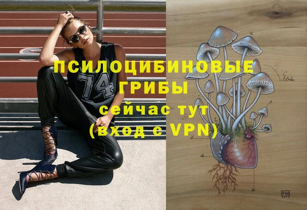 меф Болхов