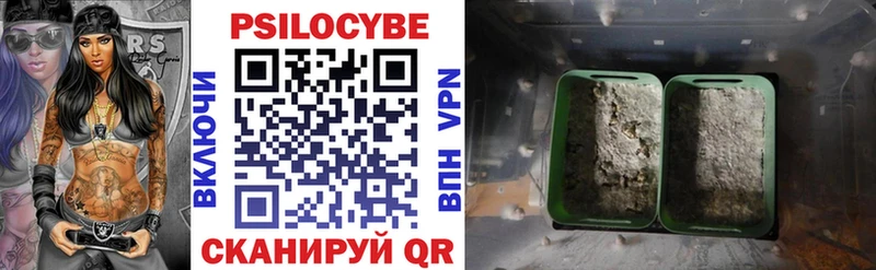 Галлюциногенные грибы мицелий  Верхотурье 